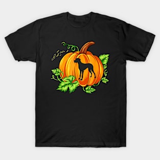 Funny Halloween Costume Great Dane Dog Pumpkin T-Shirt